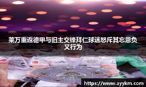 BG大游