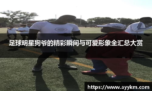 BG大游唯一官方网站